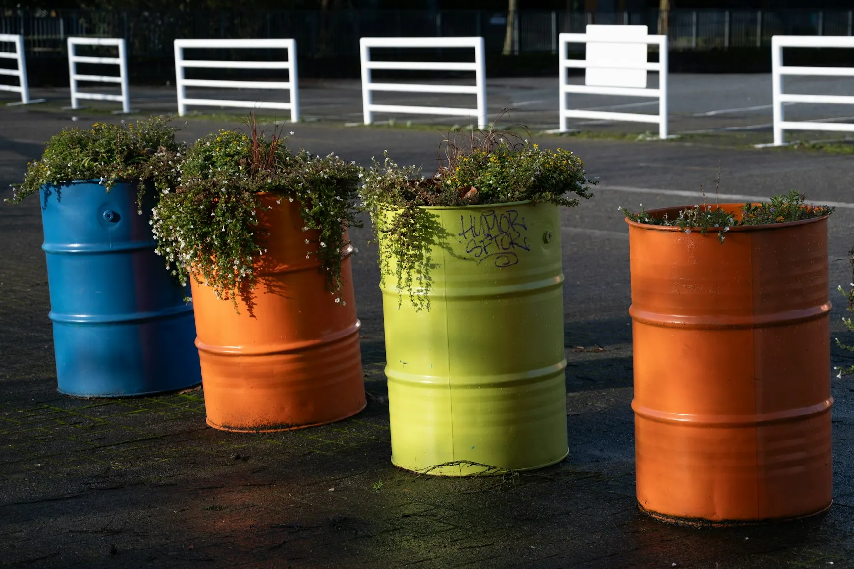 A Complete DIY Guide to Customizing Your Planter Box Designs