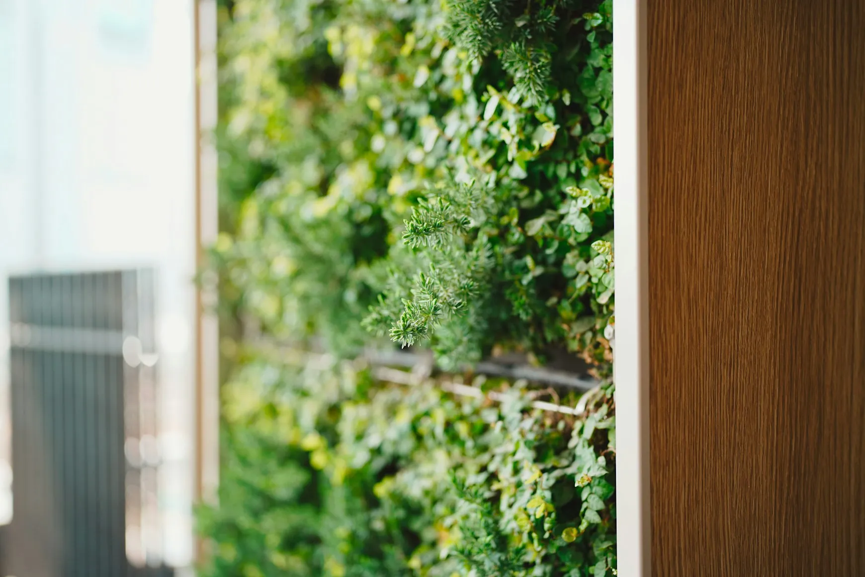 Stylish Greenery on Walls: Your Ultimate DIY Guide to Planter Boxes