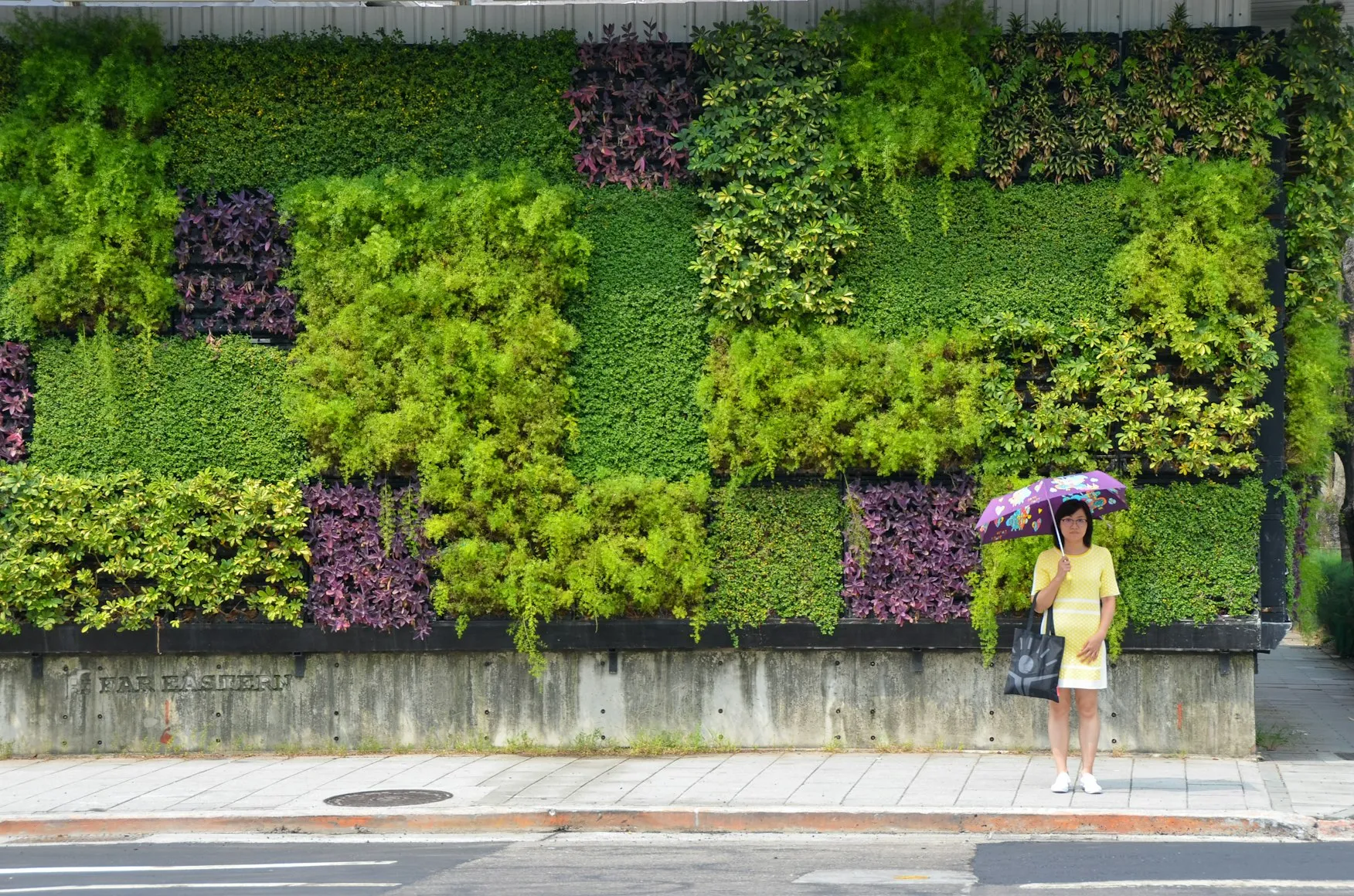 urban greenery: enhancing biodiversity while improving visual appeal